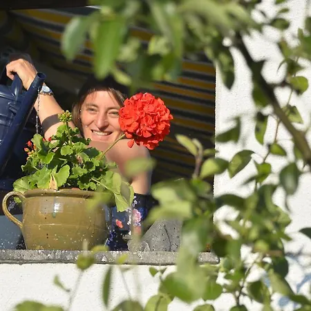 Schmiedhof Apartmán