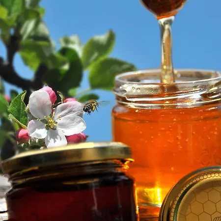 Schmiedhof Seefeld in Tirol