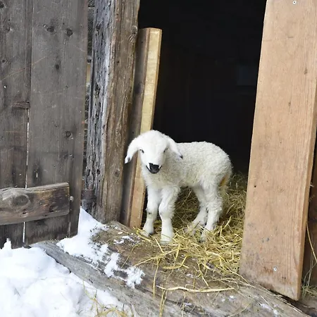 Schmiedhof Daire Seefeld in Tirol