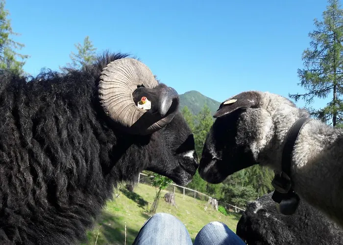 Apartman Schmiedhof *