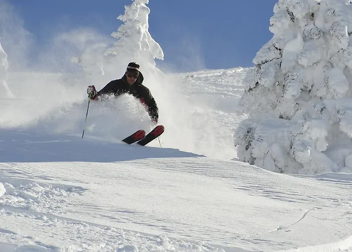 Apartman Schmiedhof *