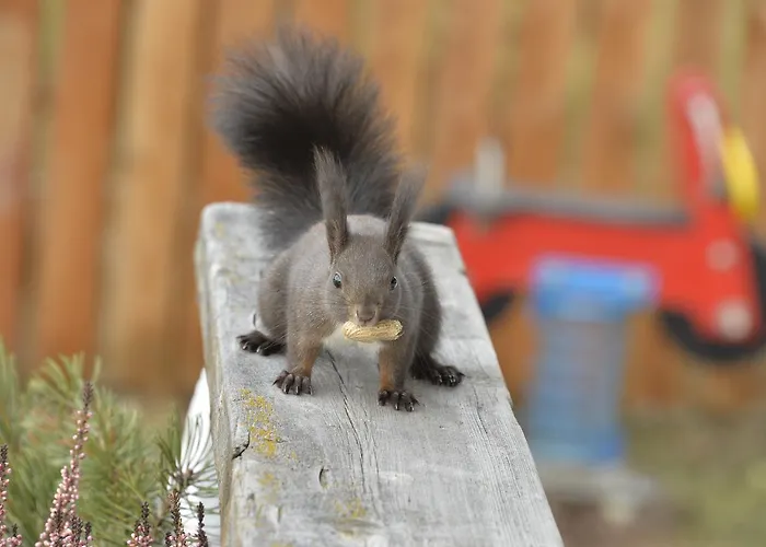 Schmiedhof Apartman *