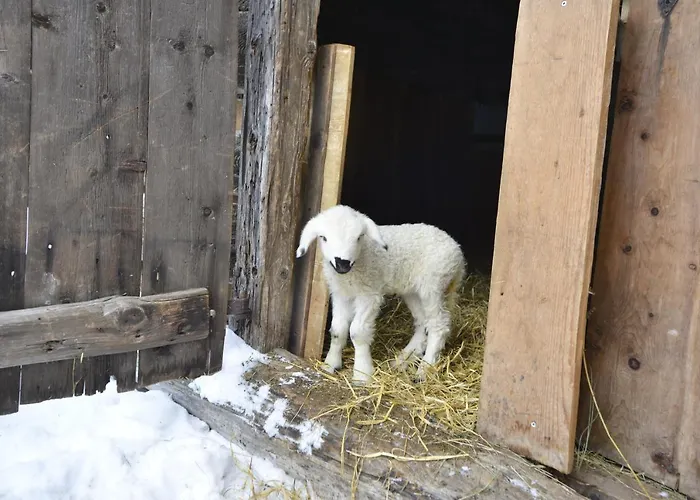 Schmiedhof Apartman Seefeld in Tirol
