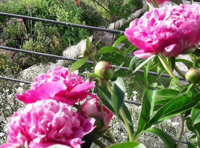 Apartman Schmiedhof *