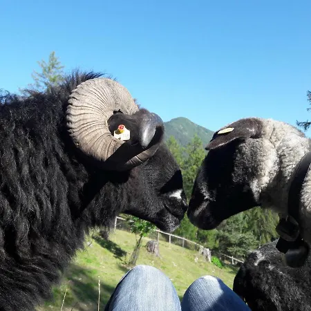 Apartment Schmiedhof *